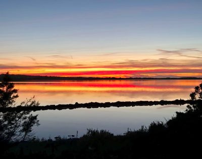 VILLA FRENTE AL MAR CERCA DE LA SAVINA – FORMENTERA V108